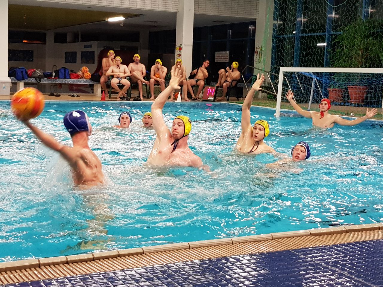 SVF Wasserball Neustadt