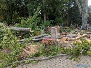 Sturmschäden am Friedhof Friedrichsthal