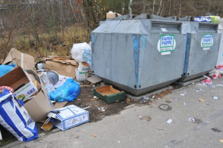 Illegale Müllentsorgung in St. Ingbert | Bild: Haßdenteufel