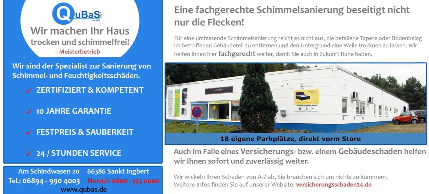 Schimmelsanierung QuBas