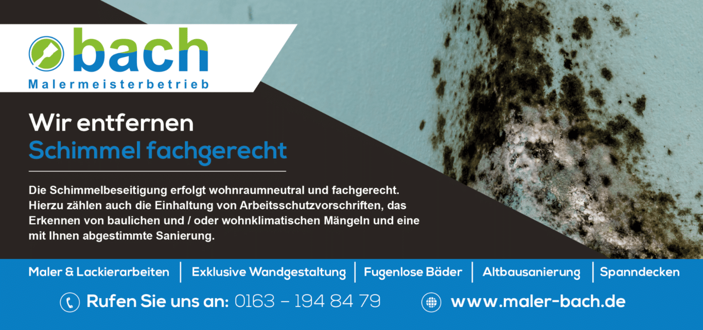 ANZEIGE - Schimmelsanierung Maler bach