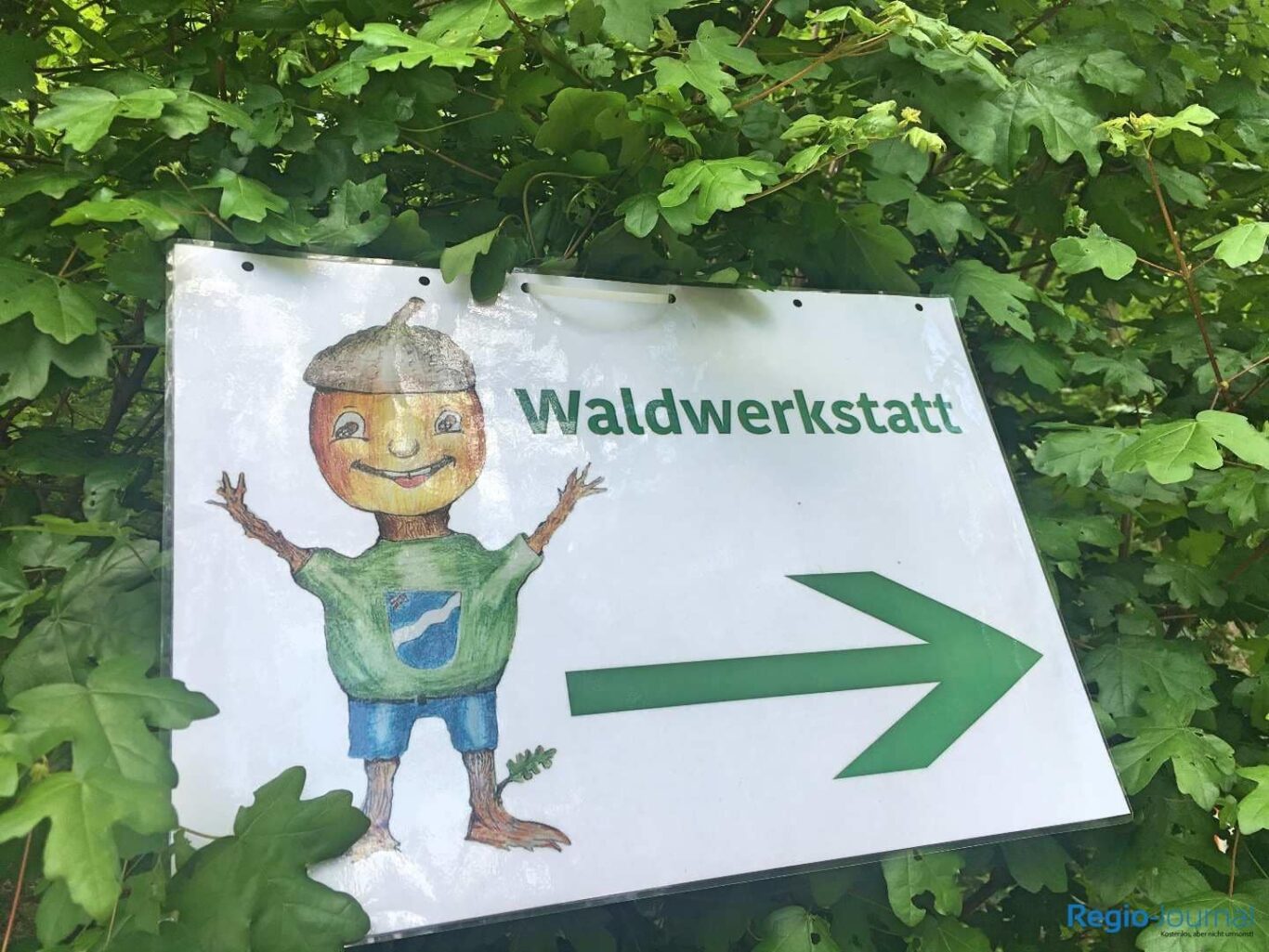 2. Waldwerkstatt in Sulzbach