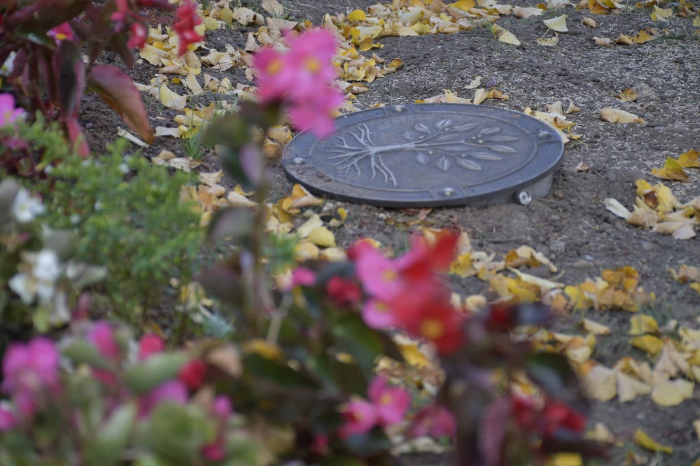 Ein Urnengrab zwischen den Blumen | Bild: Regio-Journal