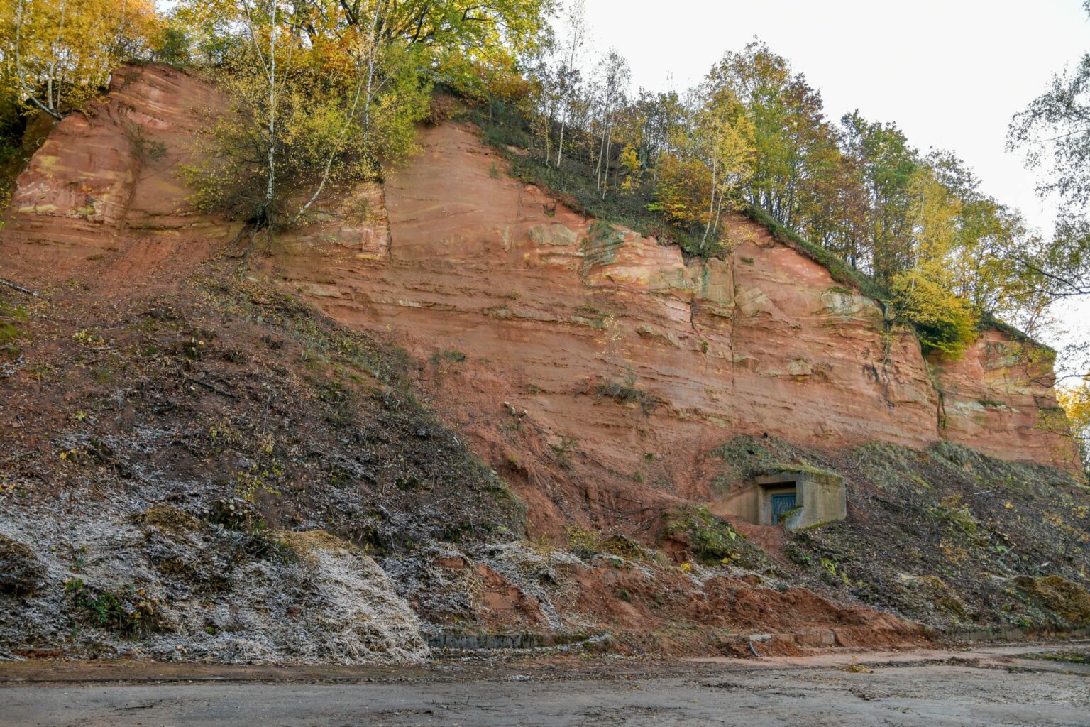Die freigelegte Buntsandsteinwand im Villinger Park | Bild: Regio-Journal