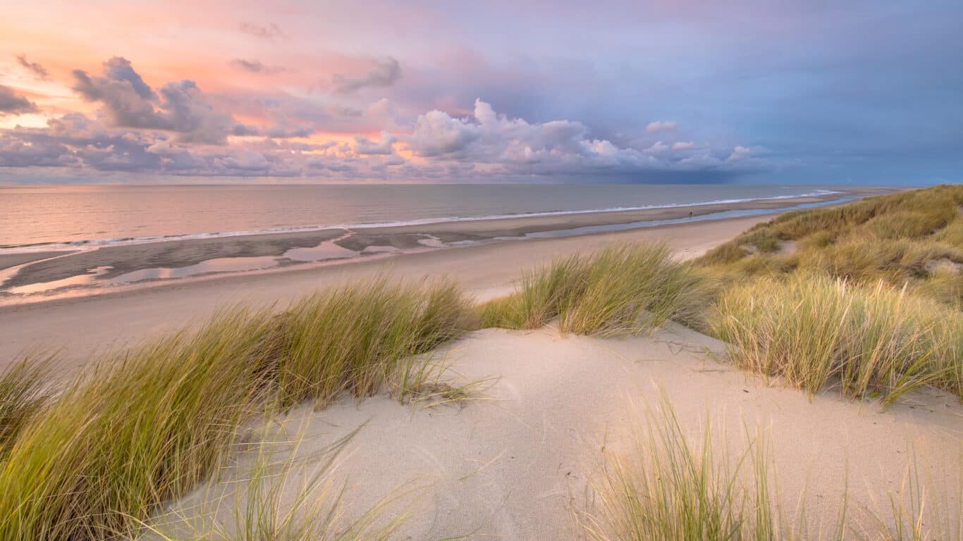 Blick von einer Düne auf die Nordsee, bei Zeeland, Niederlande