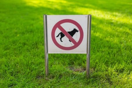 Hunde verboten (Symbolbild)